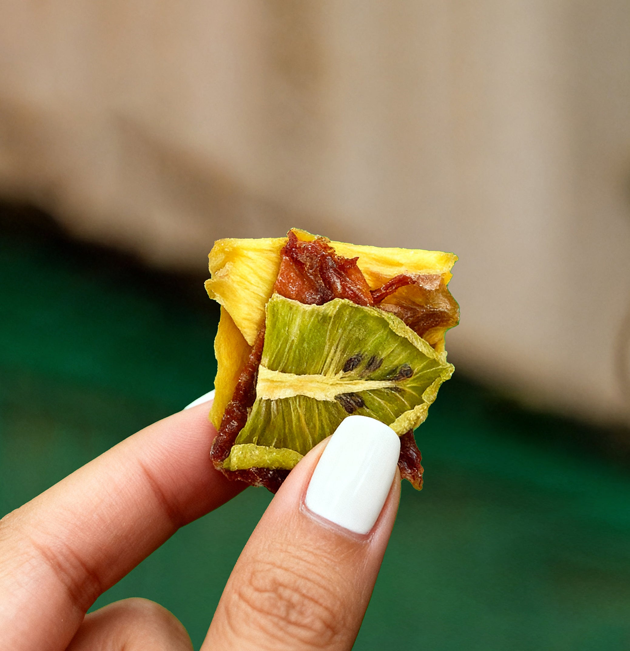 The Fruit Bites - Mixed Fruits (15 PCS)